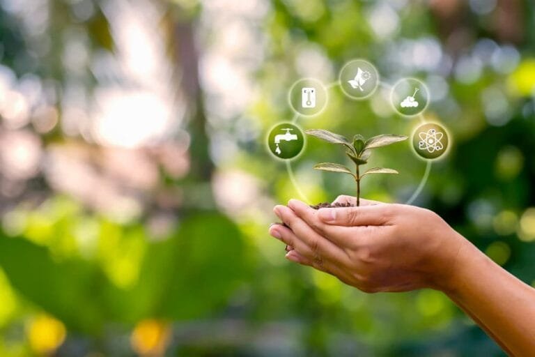 Arbre poussant sur le sol dans les mains